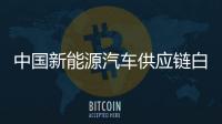 中国新能源汽车供应链白皮书2020