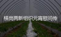 横岗两新组织元宵慰问传党情 关怀问候暖“蜂”心